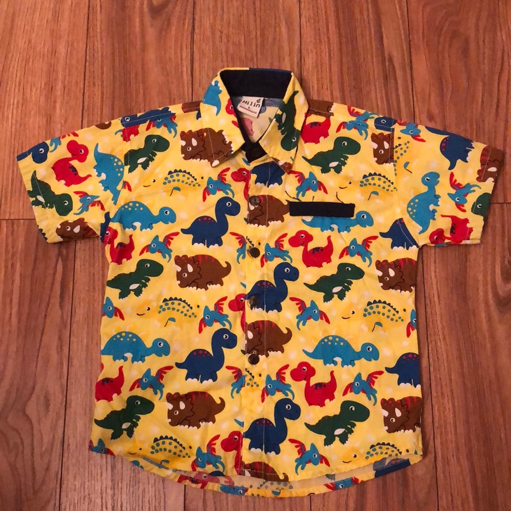 Button Down Shirt
